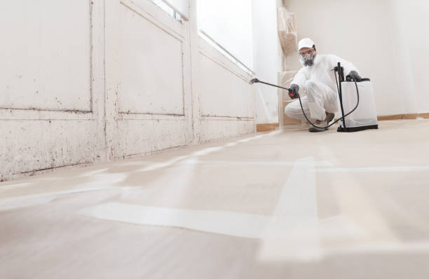 24/7 Emergency Black Mold Remediation experts in Howell, NJ