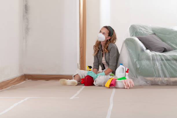 Reliable Black Mold Remediation contractor in Howell, NJ by 24 Hour Mold Removal
